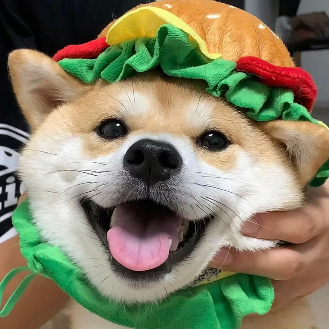 临在