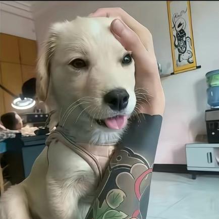 那我这就走