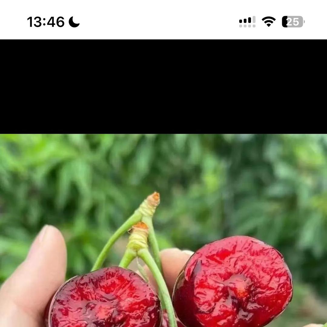 武环水果精选店樱桃