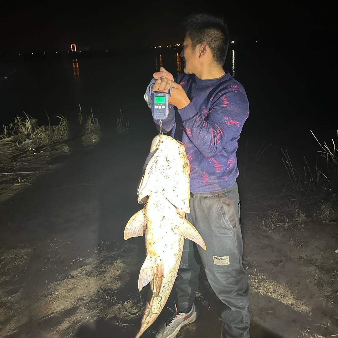 ⬆️(钓🐠爱好者)