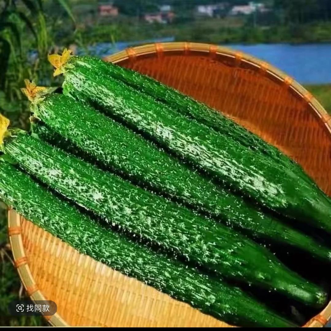 一口鲜果蔬（新鲜蔬菜）