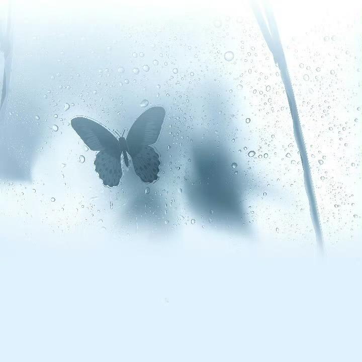 白色枫车