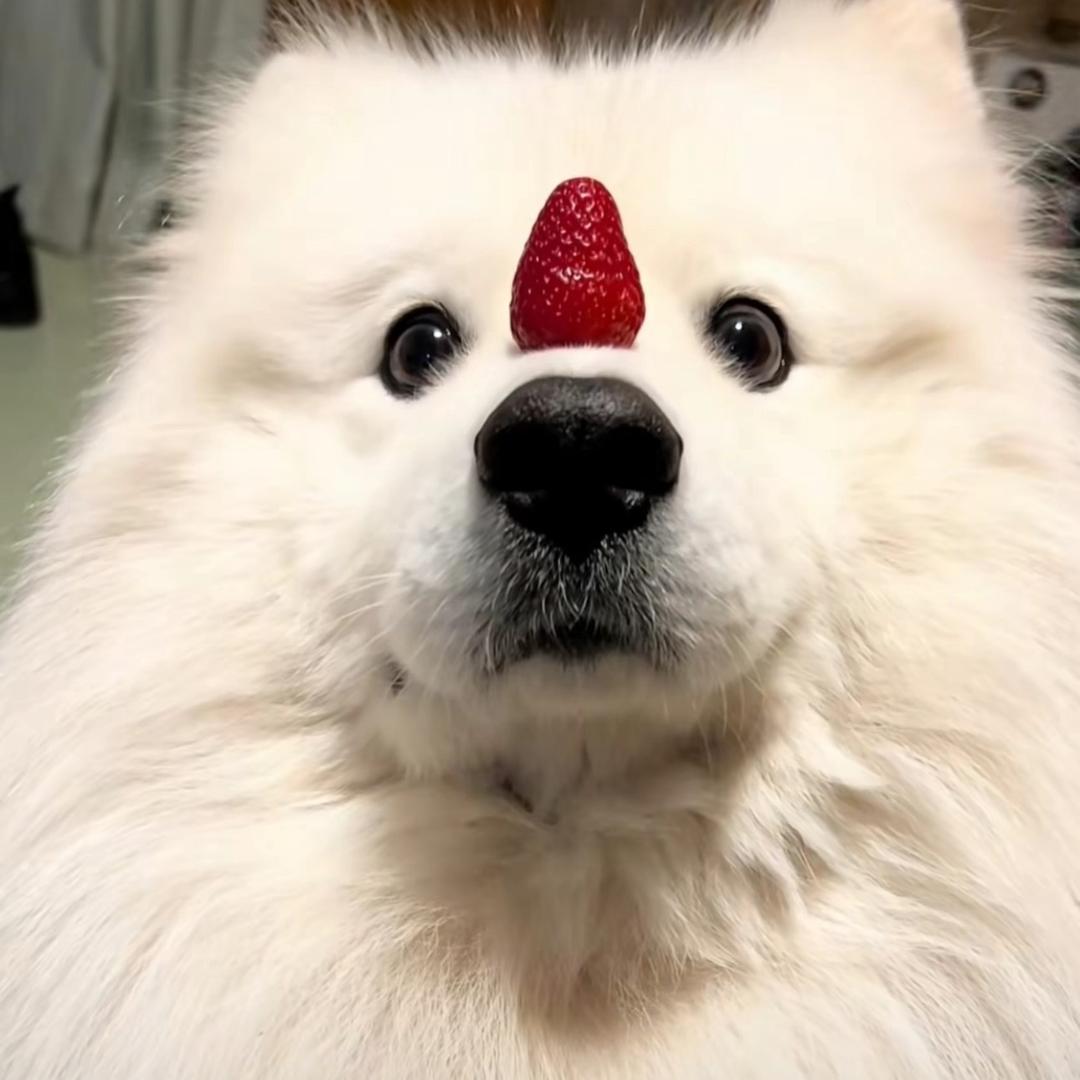 十一颗星星不止会发光