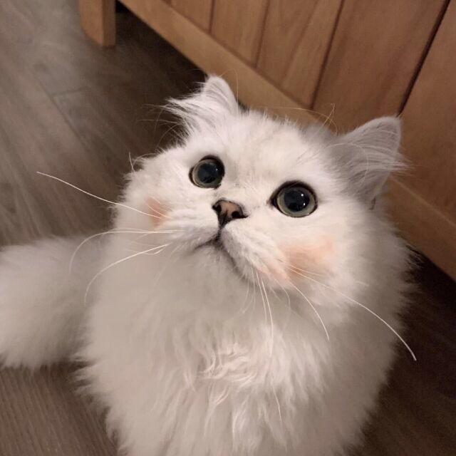 甘之如饴