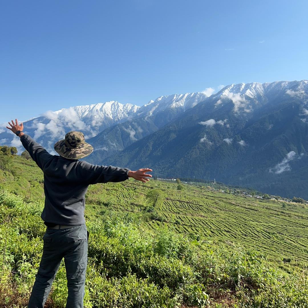在西藏种茶的小郭