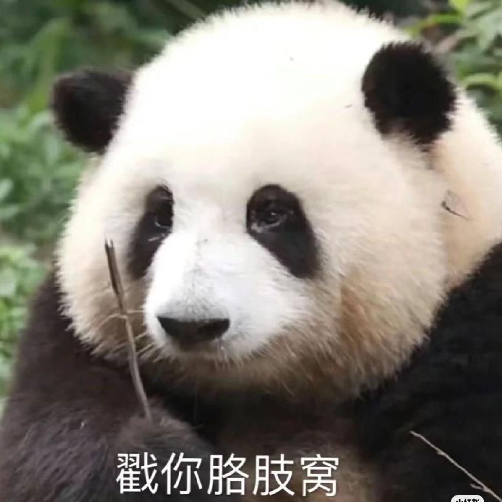 熊猫便当🐼