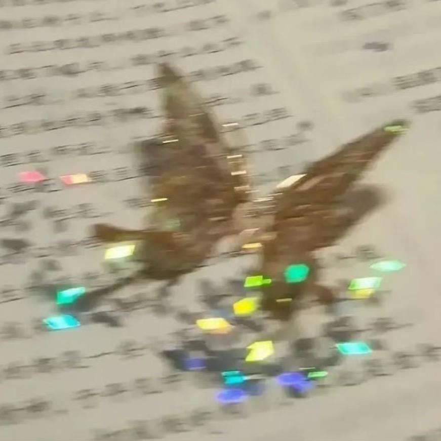 之由摄影工作室🦋