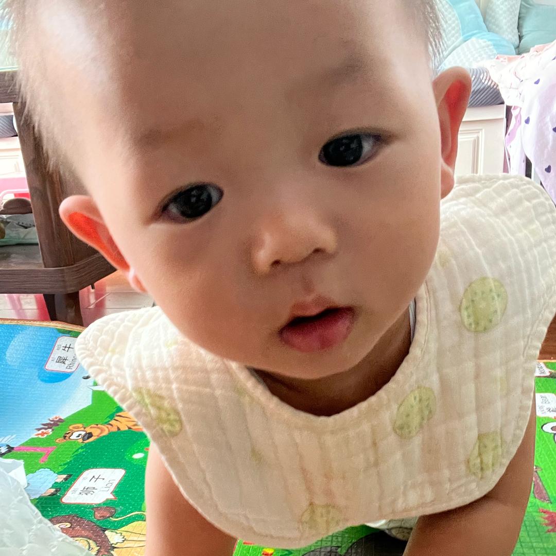 恩总的快乐星球🌍