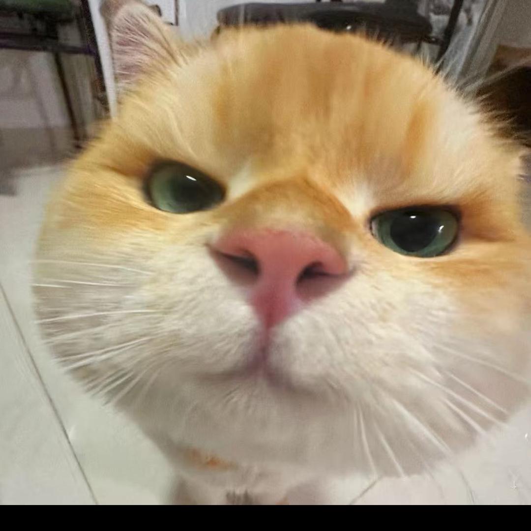 隔壁老宋