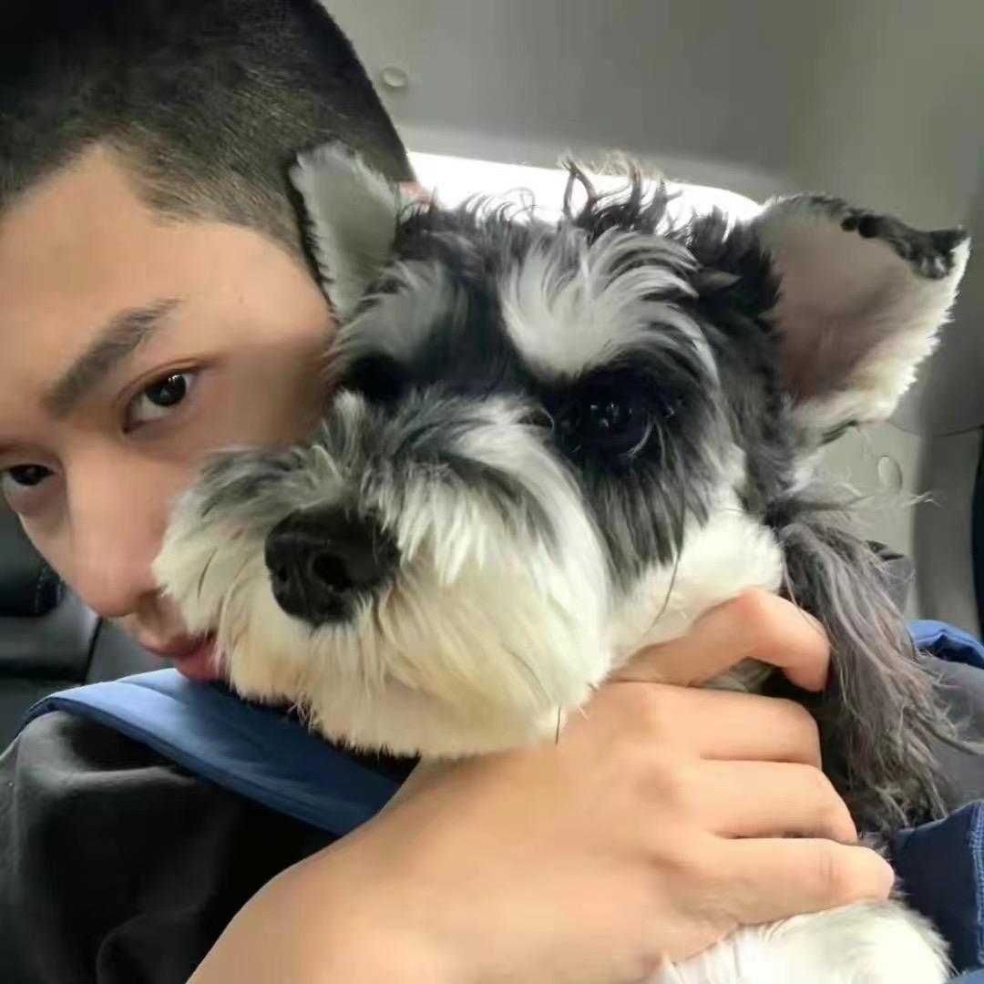 直发是个卷毛.