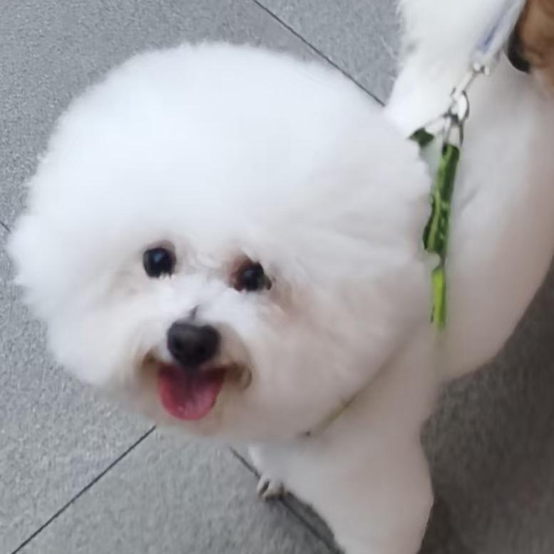 上班的尽头