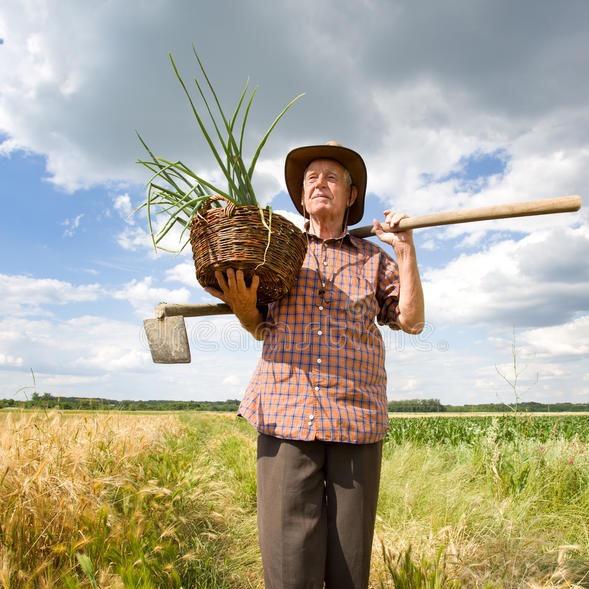 鲜果，干果农产品店