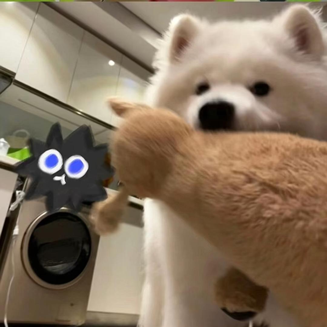 clddd
