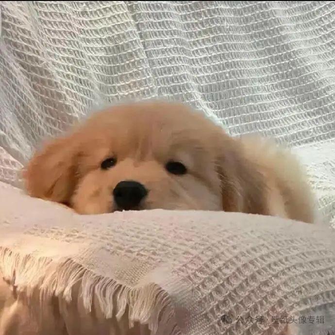 百念⁹³⁰