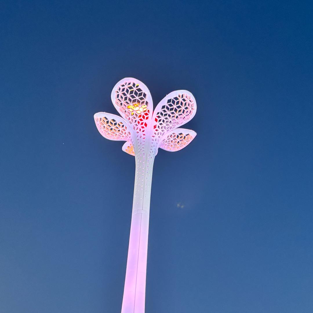 禾和小姨子hhzhd6601