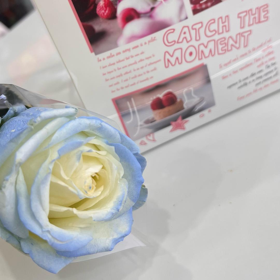 ࿚໌້小昀朵☘