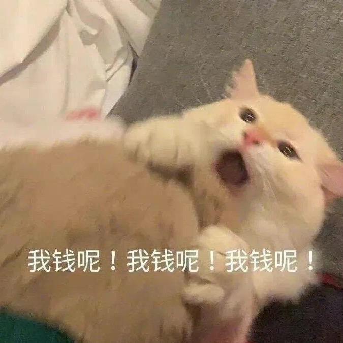 少吃点儿