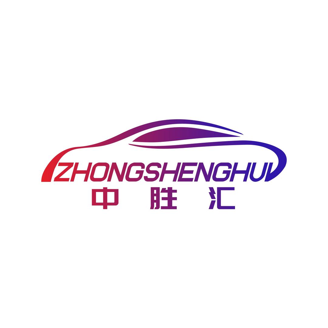上海中胜汇汽车服务有限公司