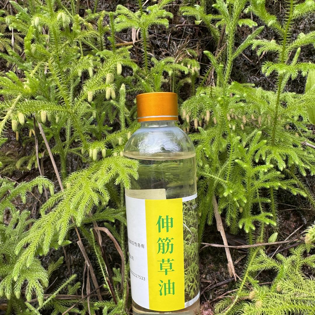 壮乡谢姐土特产