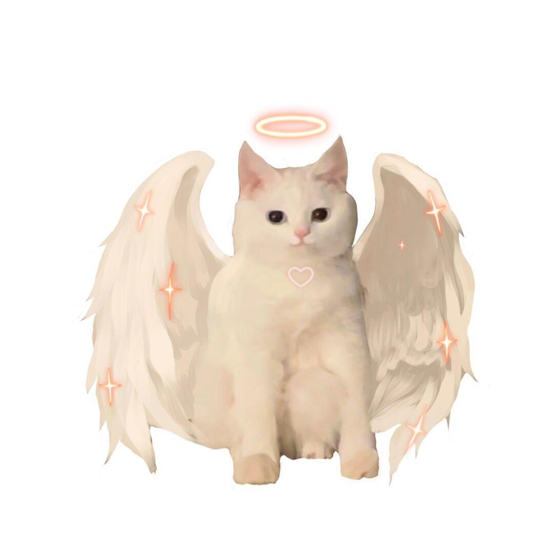 涨涨