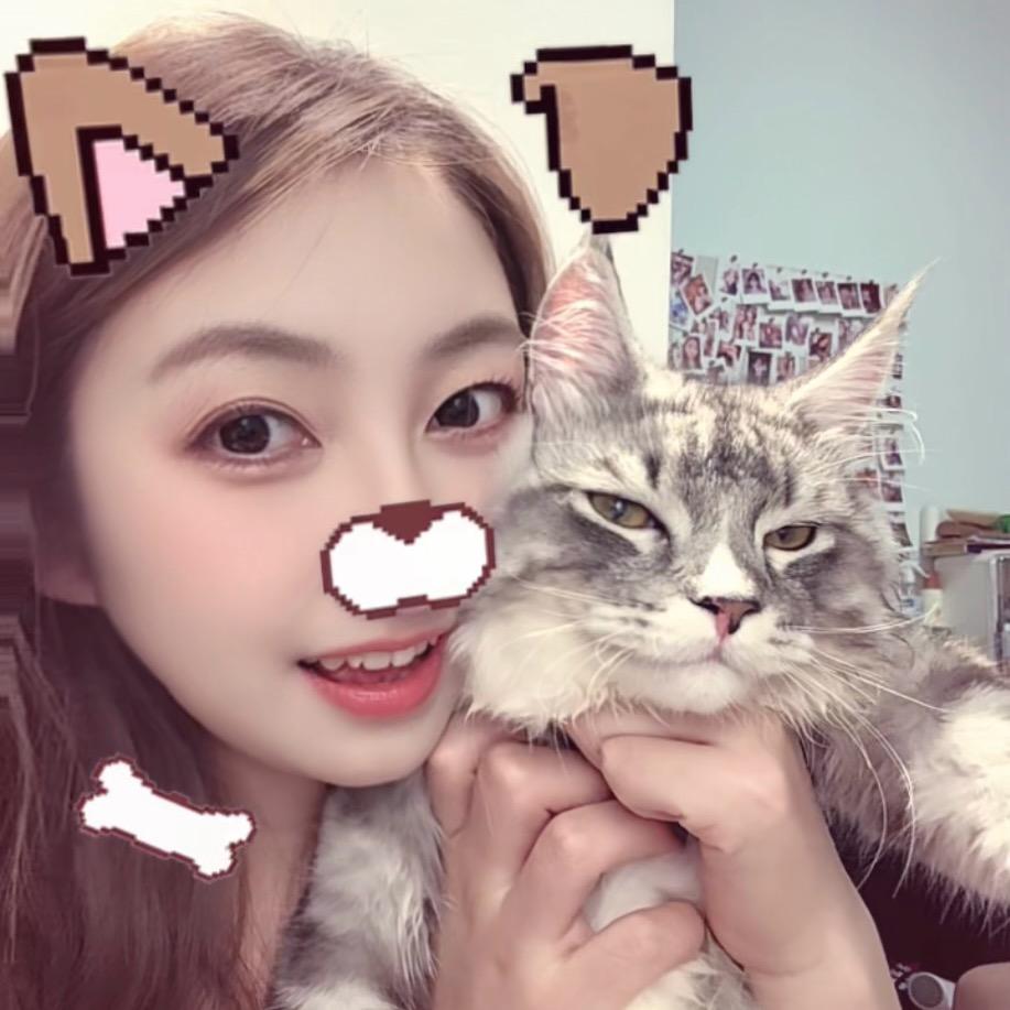 八十带馒头狂吃(宠物版)