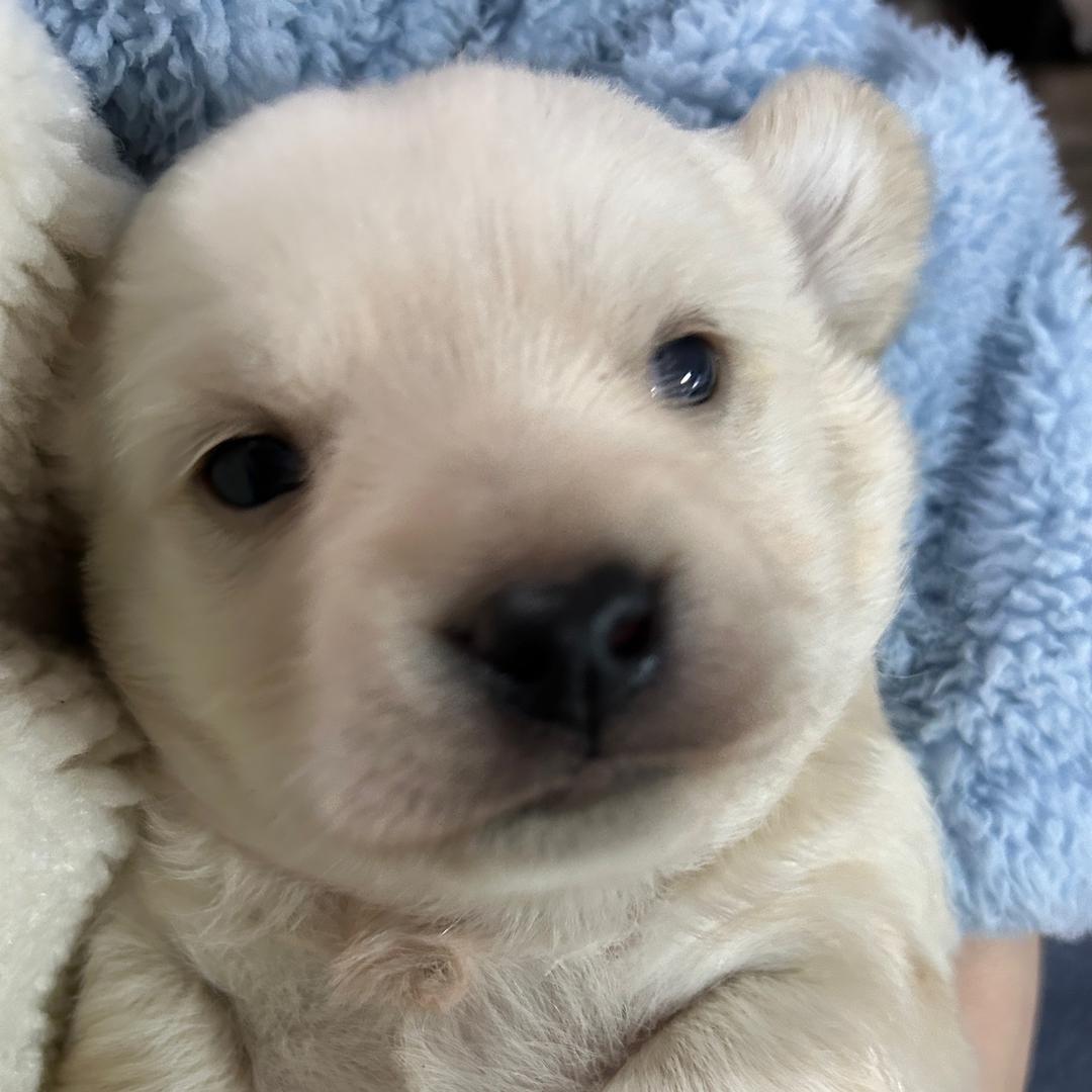 这次一定要上岸