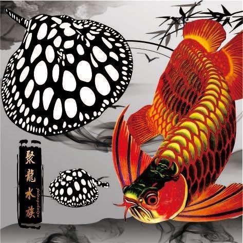 聚龍渔业 啊斌