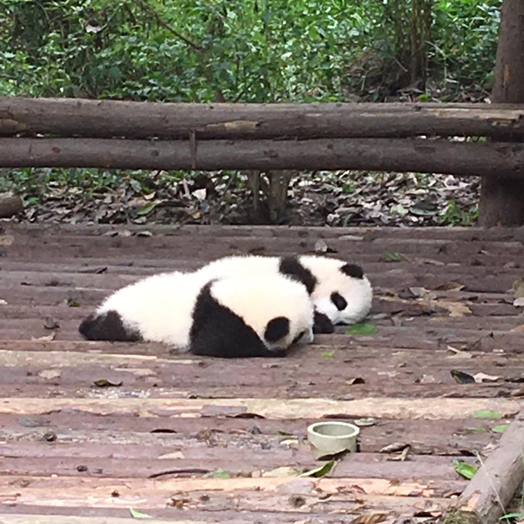 叮咚漫剪