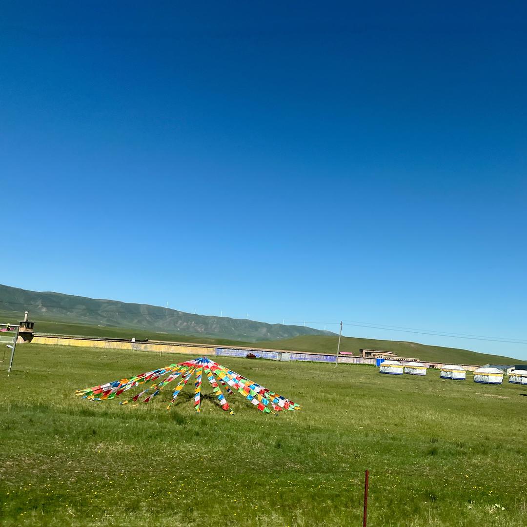 彭叶副食品店(江宁湾店)爱可可直播号