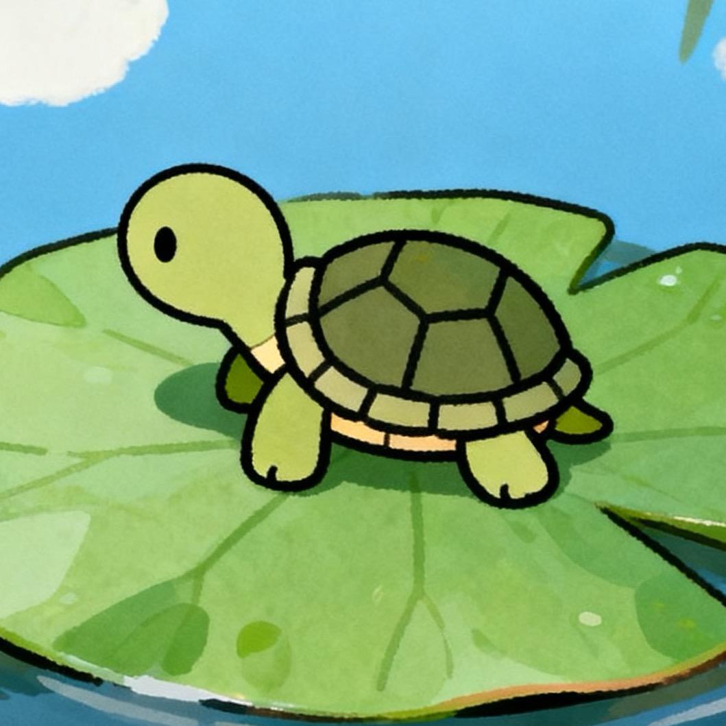 小乌龟的日常🐢
