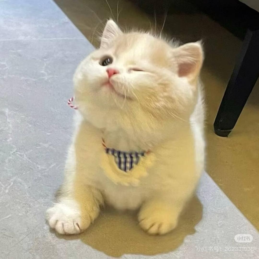 今心。