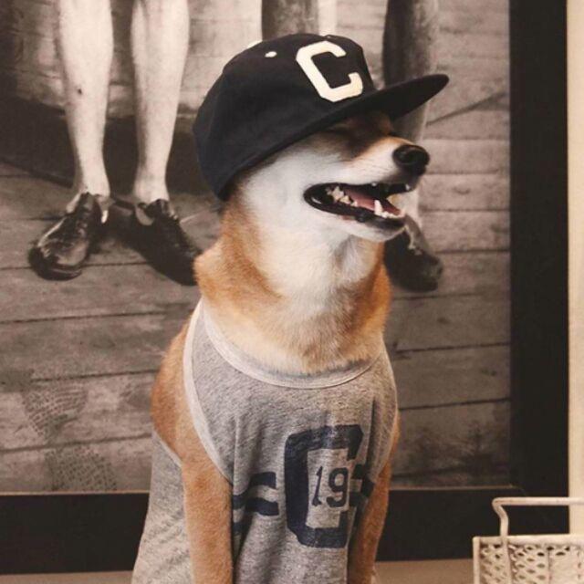 来瓶82年的哇哈哈🕴🏻