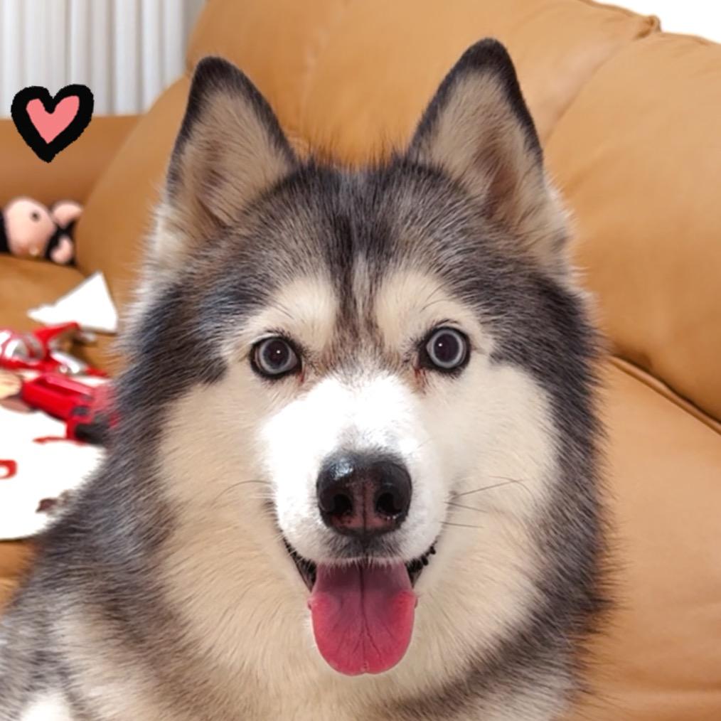 爱吃地瓜的贝贝@抖音