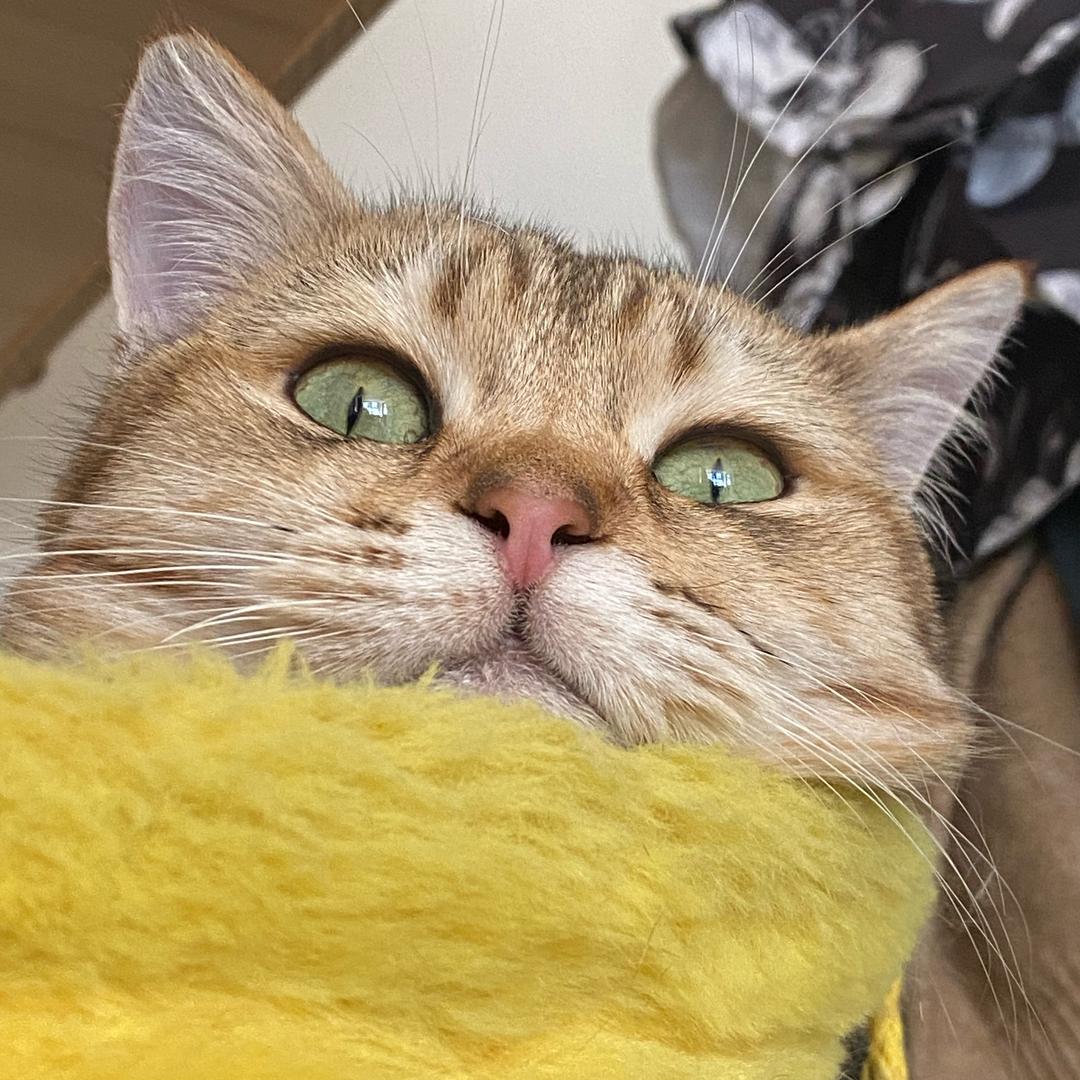 越冬.