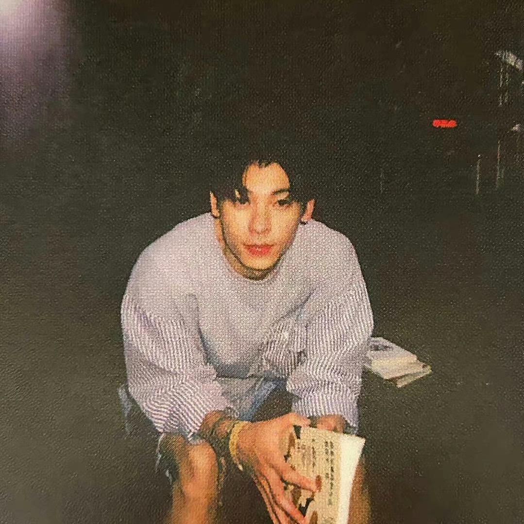 脾气极好的黑马