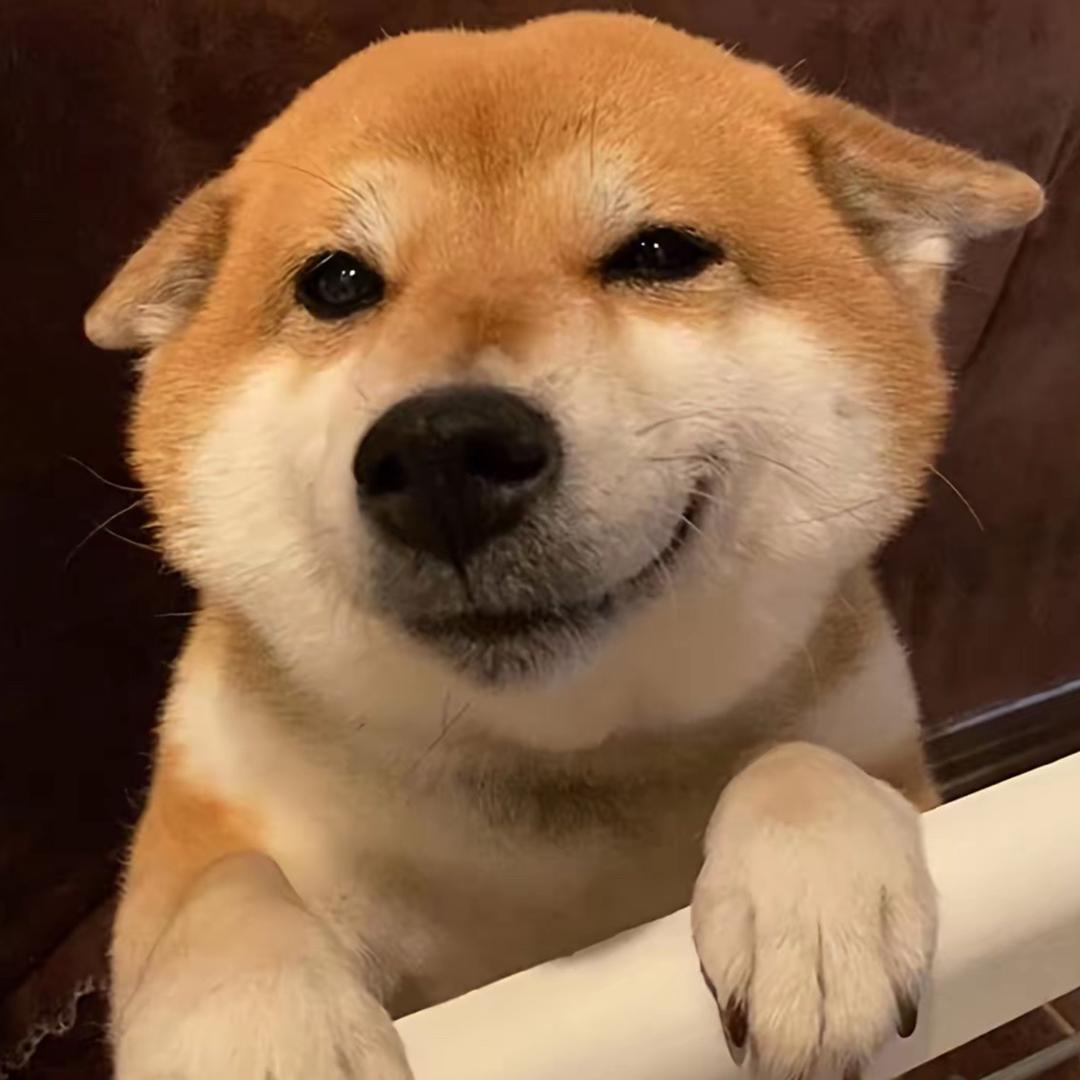告白皮球-