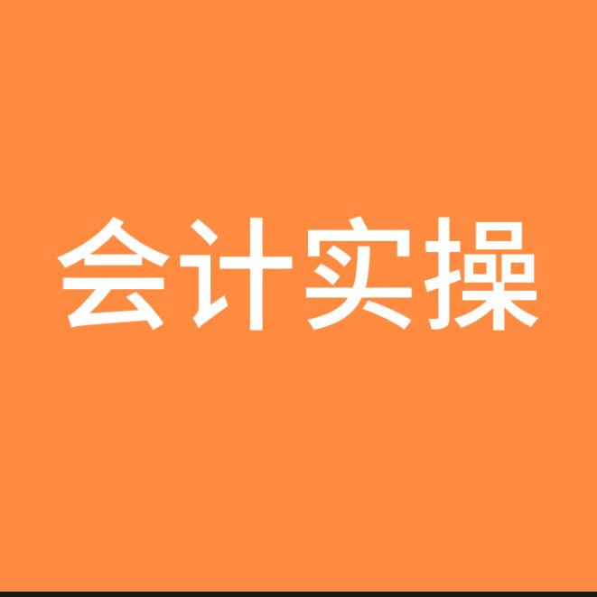 中星会计实操