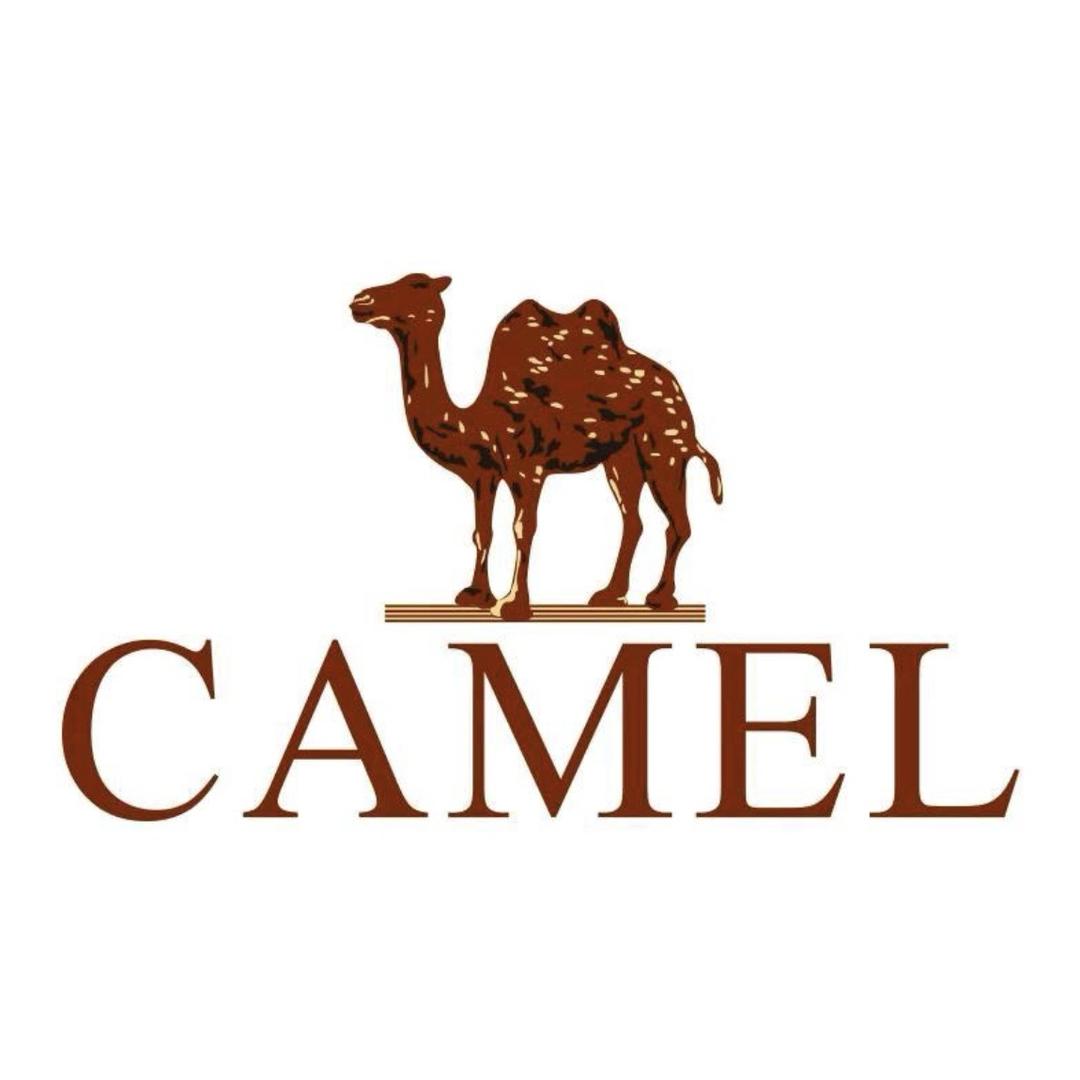 CAMEL骆驼户外鞋服旗舰店羽绒号
