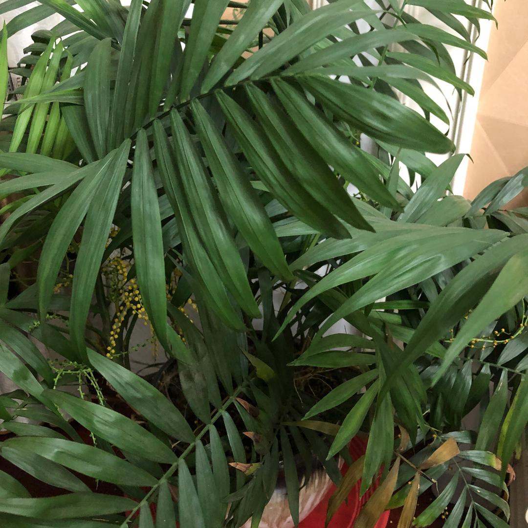 唐益
