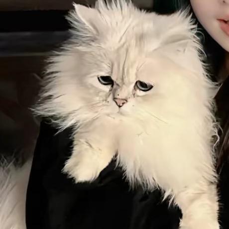 碎碎念
