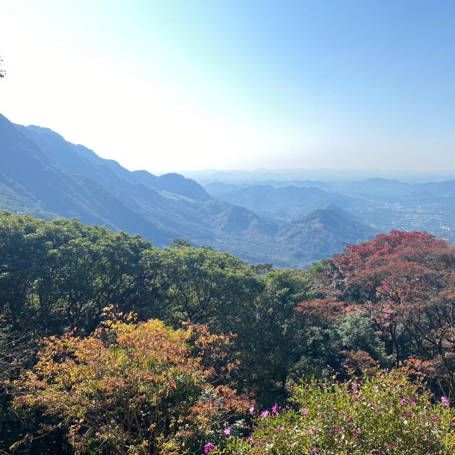 峰哥工友圈