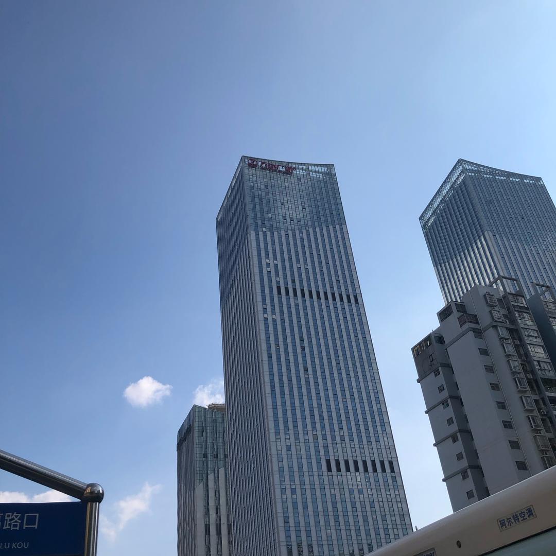 尽力哥