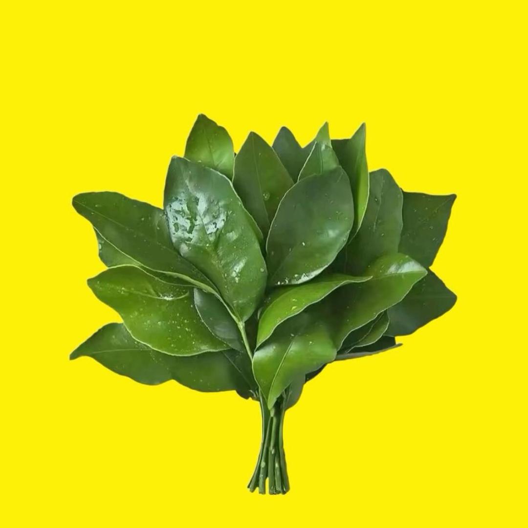 小樱桃🍒