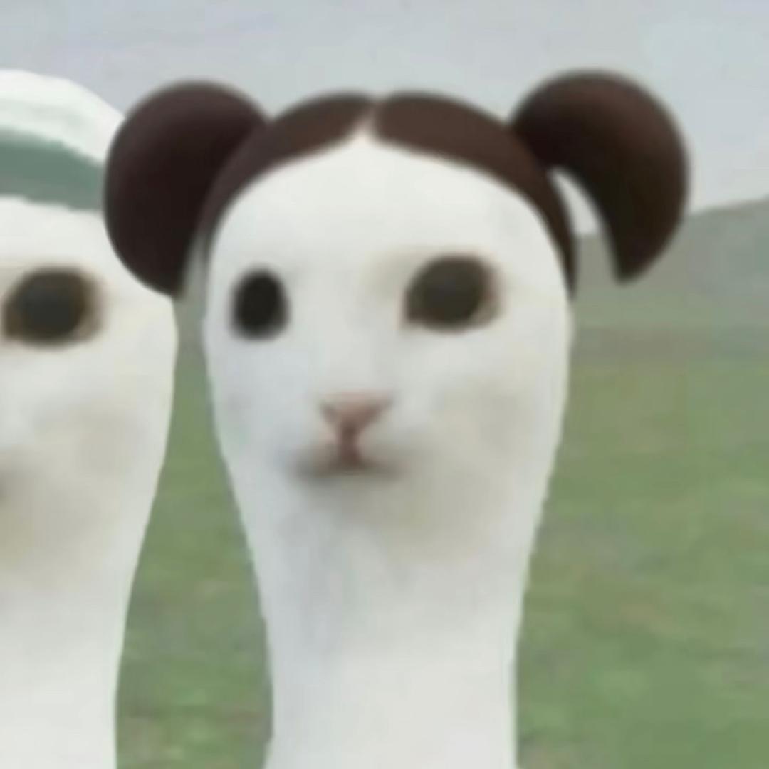 萌萌嘟