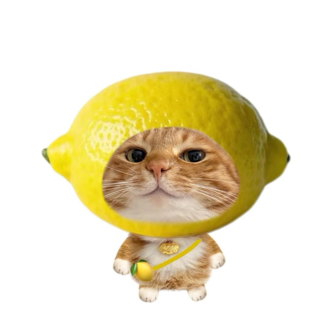 是六不是七