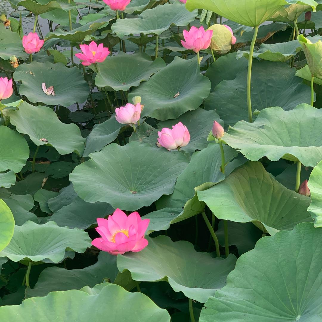 我爱我家