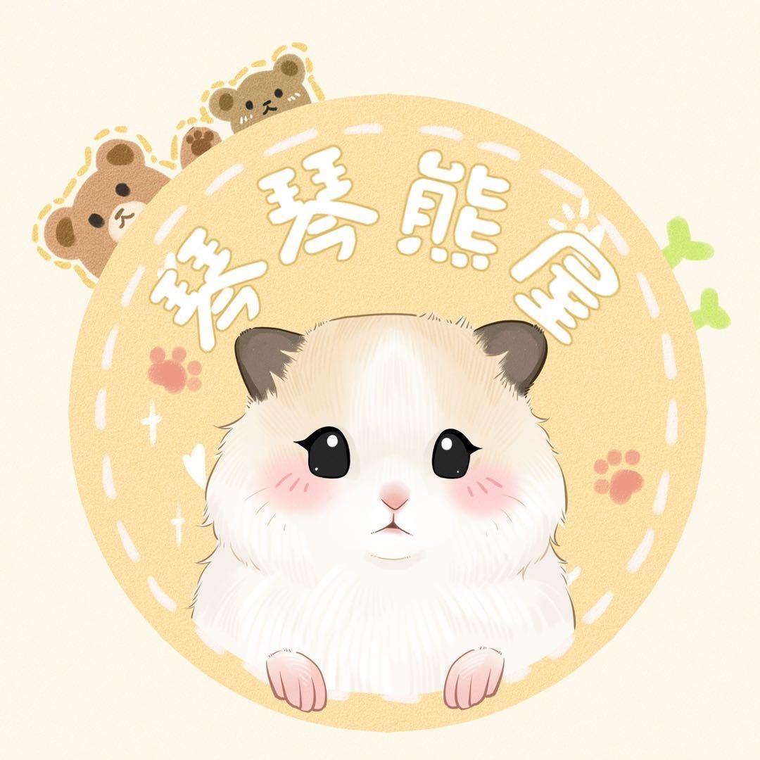 琴琴熊屋官方号