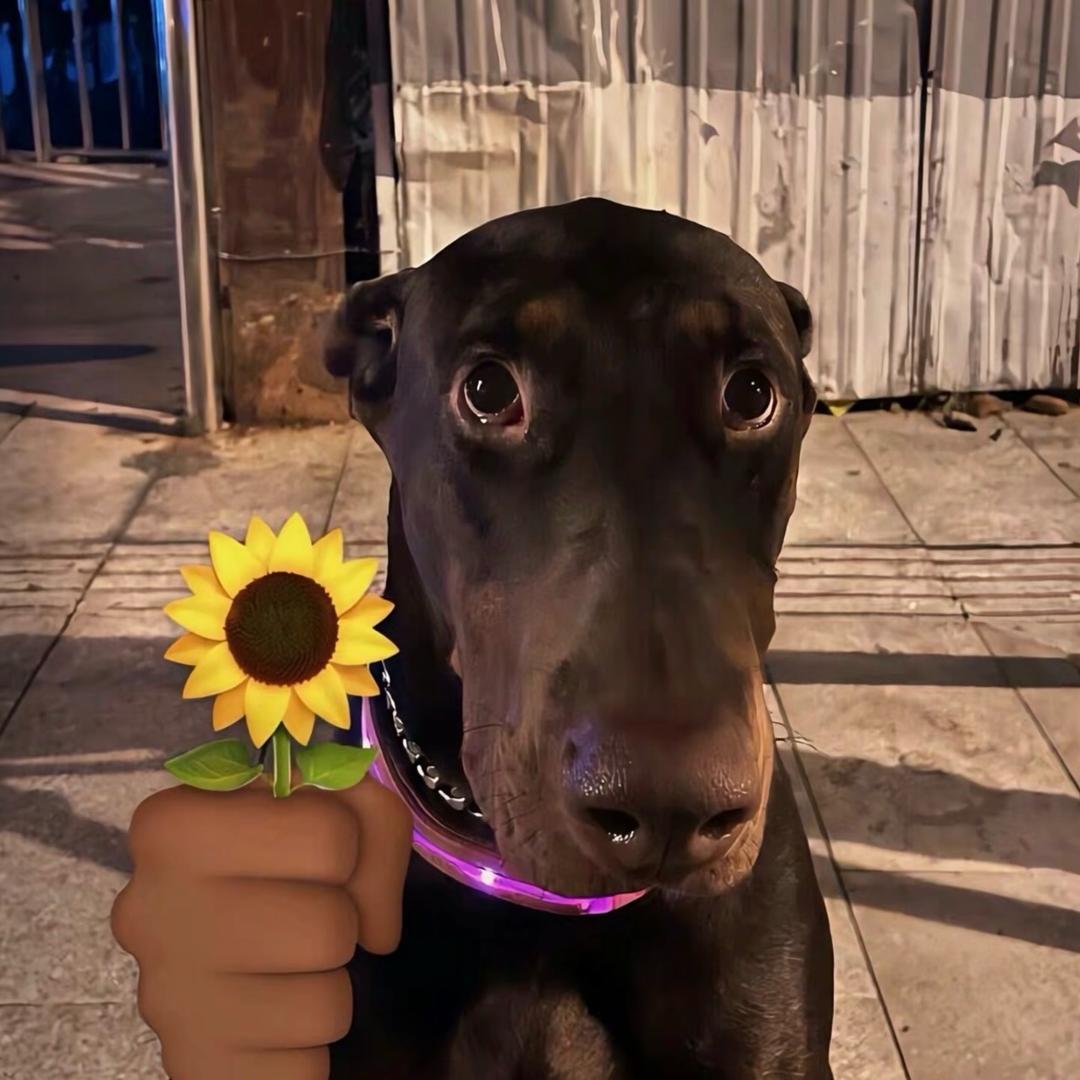 柳得花