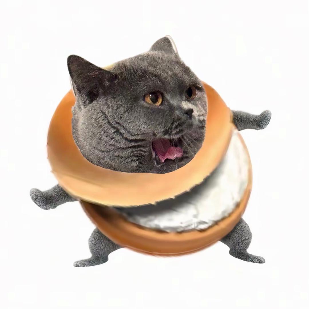 莹莹莹莹莹