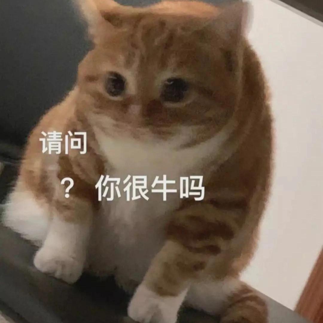 樱桃小丸犊子🍒